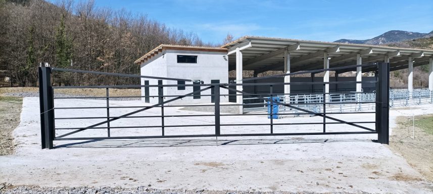 Puerta doble para Masia